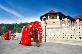 Kandy and Bentota