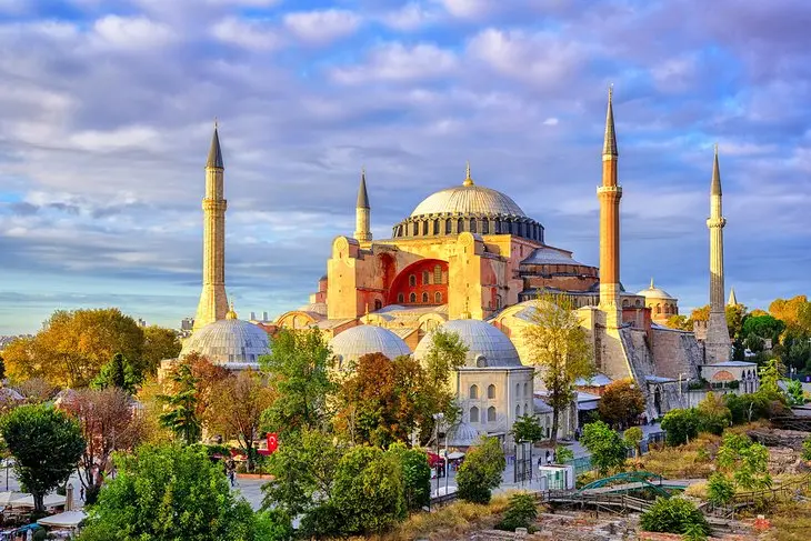 Magical Turkey